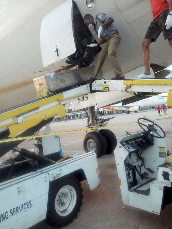 Picture of a dead body retrieved from a plane at Harare Airport