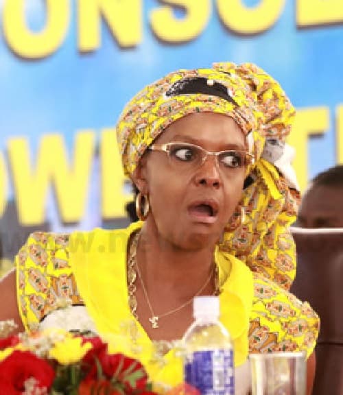 I nearly used wheelchair: Grace Mugabe explains airport accident