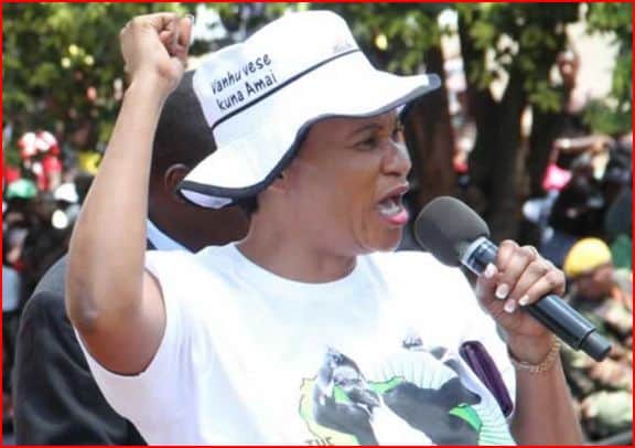 Mahoka accidentally chants Zanu PF woye at NFP rally