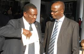 Grace’s ex-hubby Goreraza blasts Chamisa, says Mnangagwa & Prof Moyo are idiots