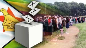 Opposition targets huge voter registration to upset Mugabe