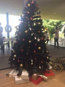 Picture: The Mugabes celebrate Christmas in Asia: 25-12-16