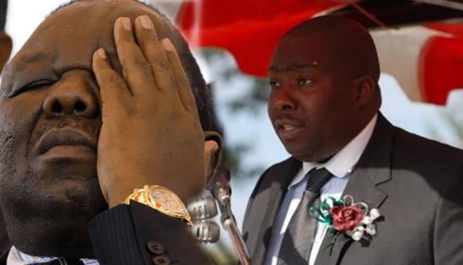 Kasukuwere blames MDC for Harare typhoid