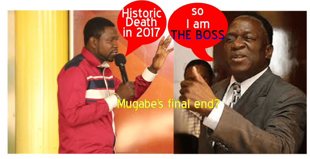 Mnangagwa fulfils Magaya 2017 prophecy, New Zim boss, Mugabe out..Pictures