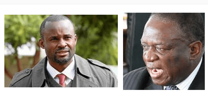 Mliswa supports Mnangagwa to succeed Mugabe, rubbishes Gukurahundi stories