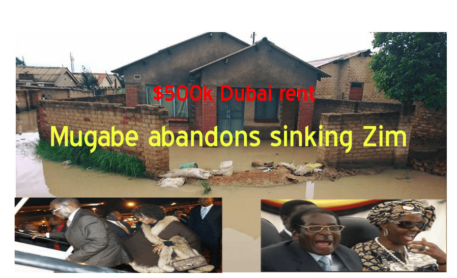 Grace’s $500K rent in Dubai, Mugabe abandons flooded Zimbabwe
