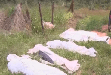4 dead in Budiriro well disaster