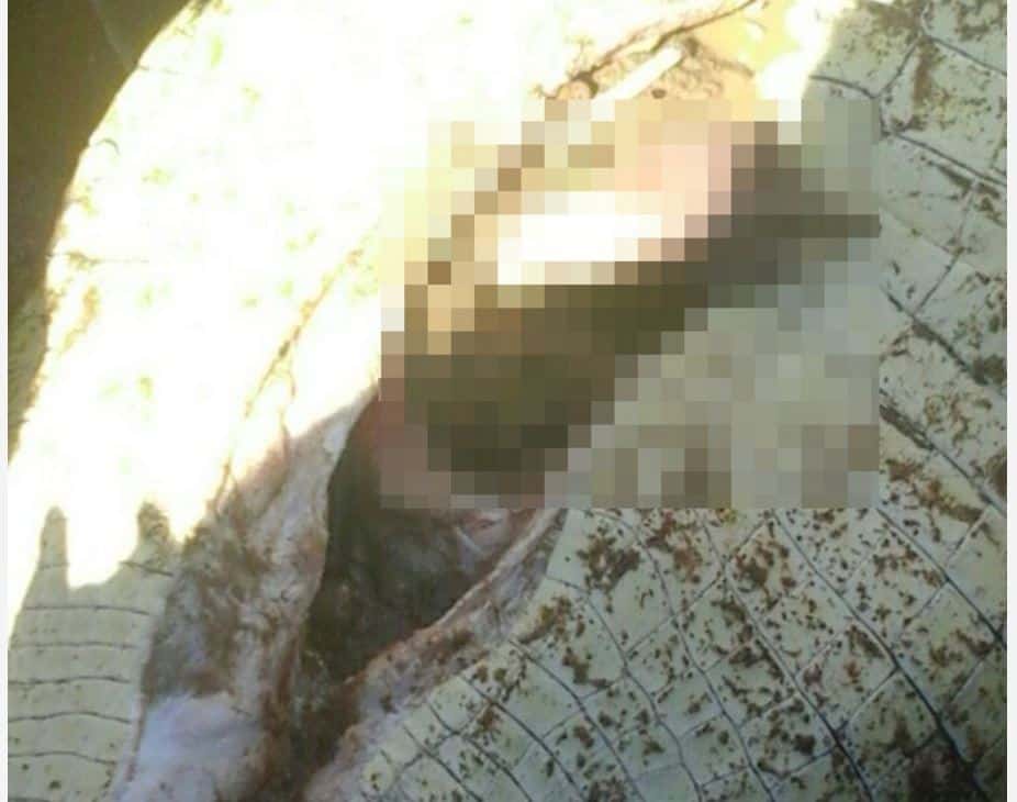 Pictures: Crocodile swallows Zimbabwe boy(8); Death at Hunyani river