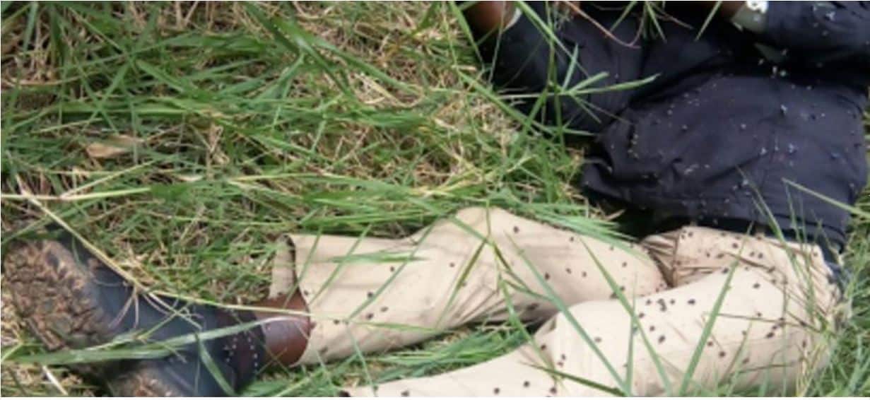 Mnangagwa ally murdered: new details on war vet’s death