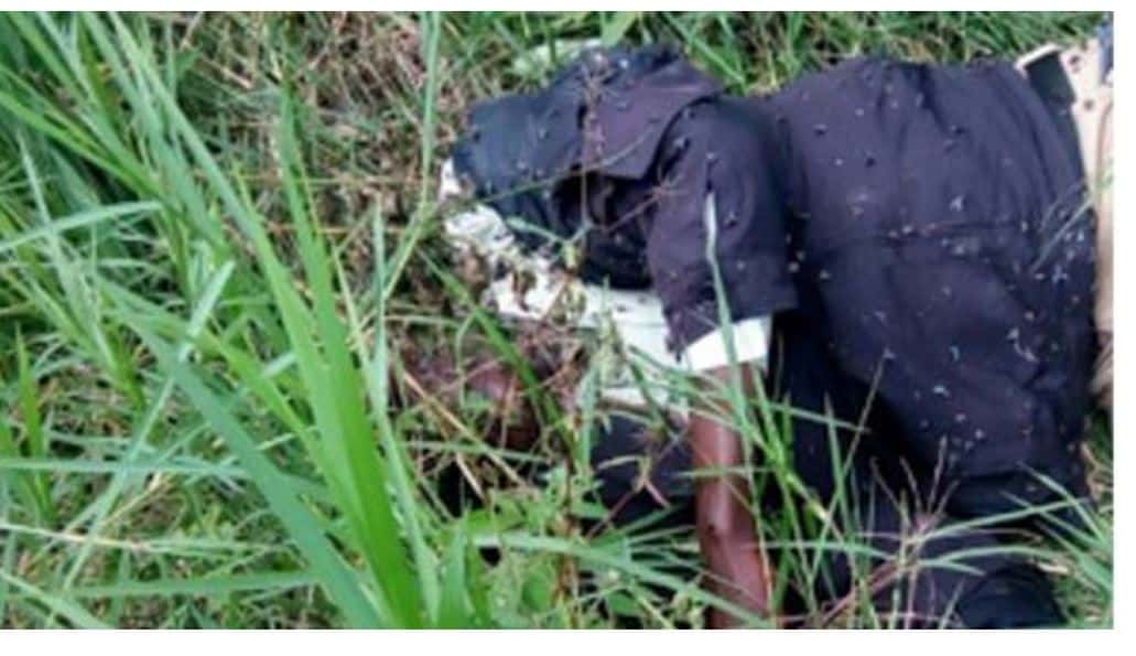 Mnangagwa’s murdered ally ‘Mhiripiri’ had bullet in his head