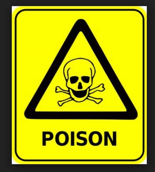 ‘Mnangagwa’s liver damaged by palladium poison’