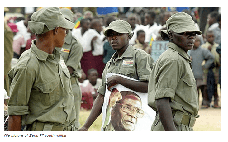 Zanu PF creates militia to intimidate voters ahead of 2018 elections