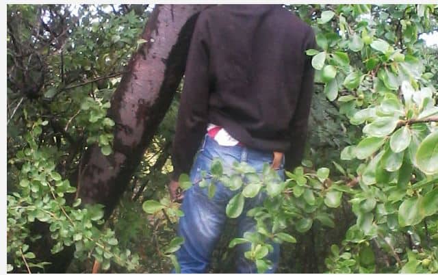 ZRP policeman commits suicide, hangs himself on a tree..Picture