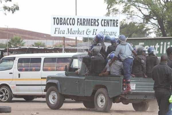 Mugabe robs tobacco farmers to fund elections