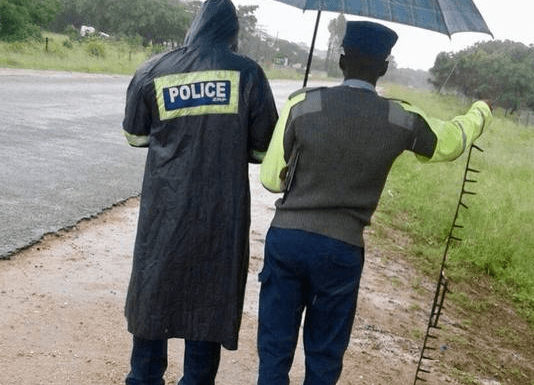 Driver knocks down policewoman at roadblock