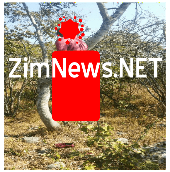 Gutu school head commits suicide