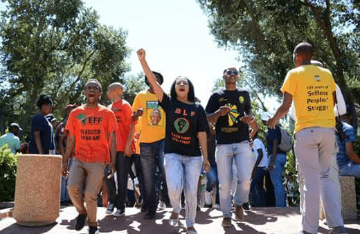Grace Mugabe gets support from radical SA  left wing organisation ‘BLF’