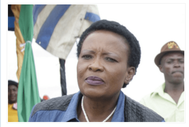 Mnangagwa’s wife flees Zimbabwe
