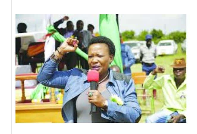 Auxillia Mnangagwa booed in Masvingo