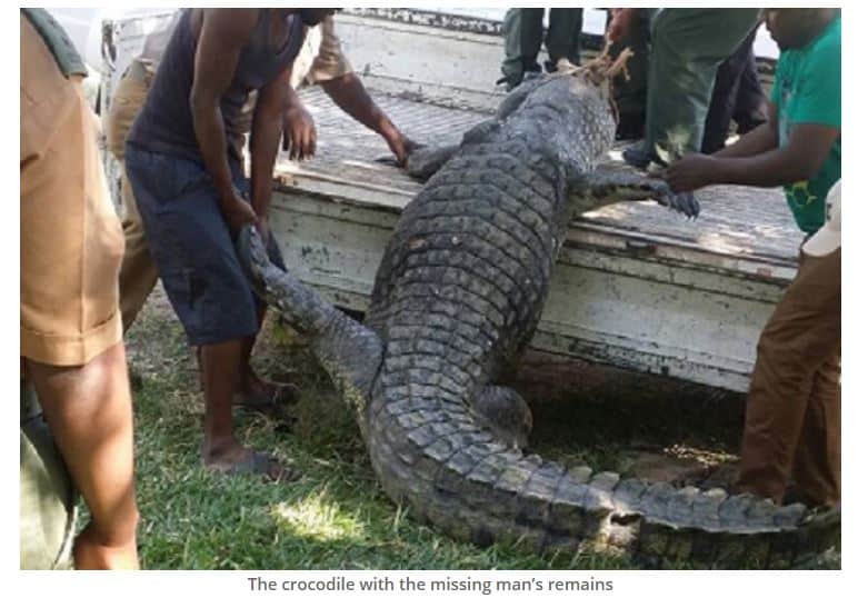 Binga: Fisherman’s remains found inside crocodile
