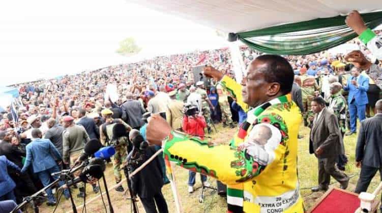 Zanu PF wins Bulawayo council elections