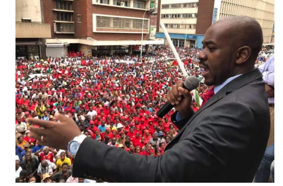 Survey: Nelson Chamisa most trusted Zim political leader with 48 percent approval rating
