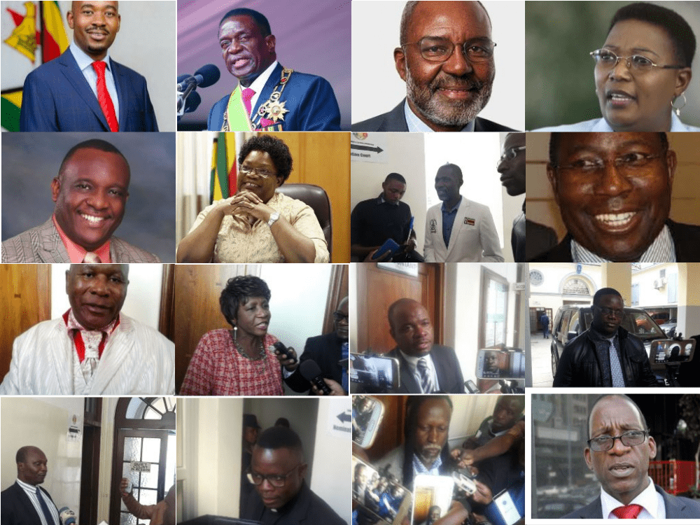 PICTURES: Full list, Names of 23 presidential candidates for Zimbabwe 2018 elections