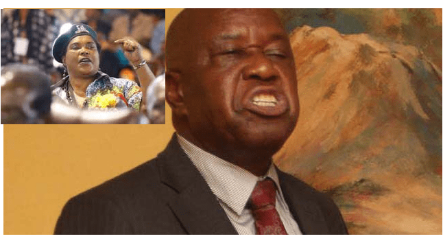 Mutsvangwa resurfaces, tears into Jonathan Moyo