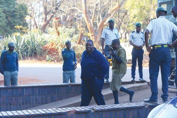 Wicknell Chivayo freed on bail