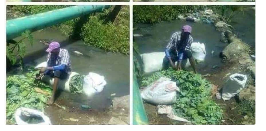 Pictures: Is this a Harare vendor washing vegetables in sewage water??
