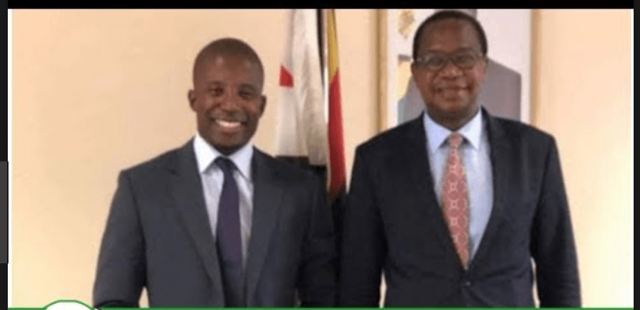 Did Mthuli Ncube hire a hooligan to tarnish RBZ image? Bank employee exposes scandal