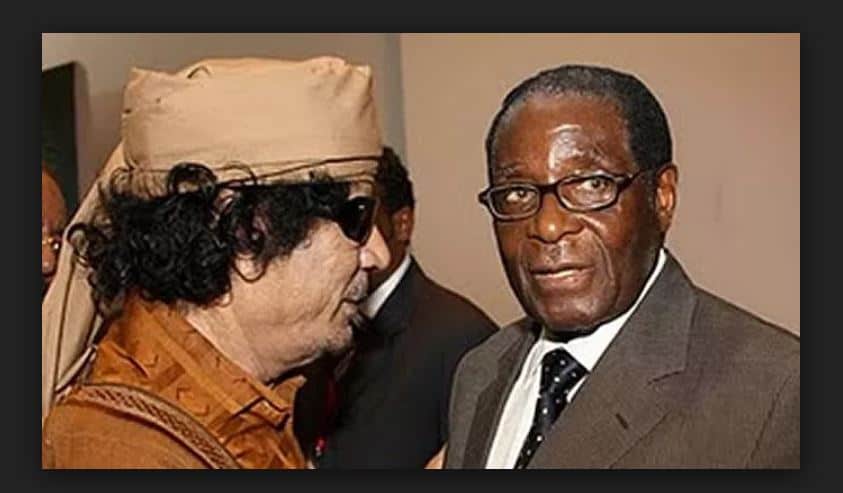 Colonel Gaddafi’s son is now seeking political asylum in Zimbabwe