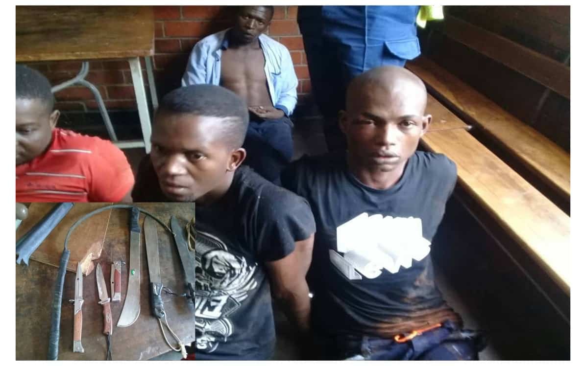 JUST IN: Police finally arrest notorious machete wielding thugs..Pictures