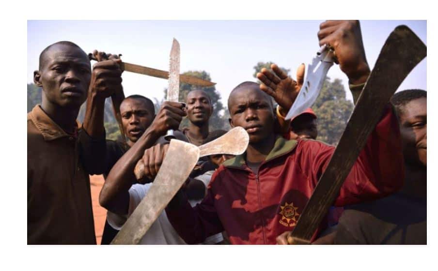 Minister labels ED homeboys terrorists ” Mashurugwi machete gangs shoud be gunned down”