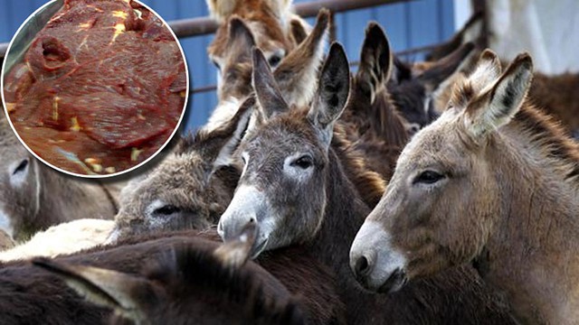 Cheap donkey meat invade  Bulawayo market