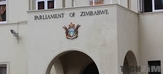 Zanu PF MP collapses in Parliament