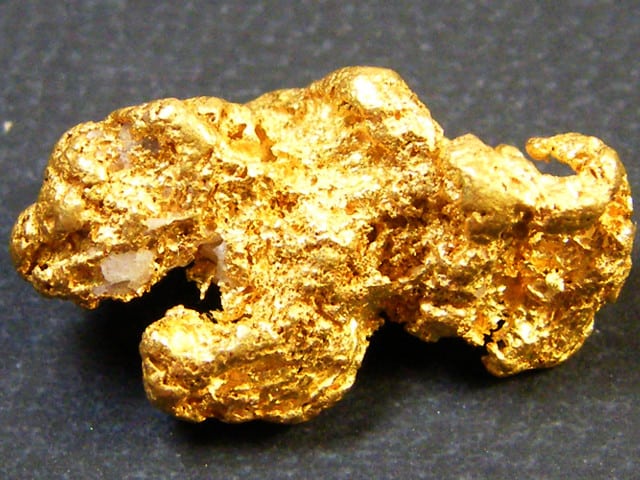 Gold Panner’s Stomach Ripped Open To Retrieve Swallowed Gold Nugget