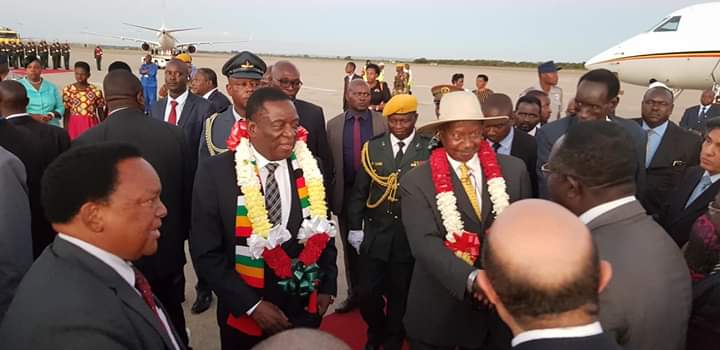 Dictator Museveni arrives in Zimbabwe..Pictures
