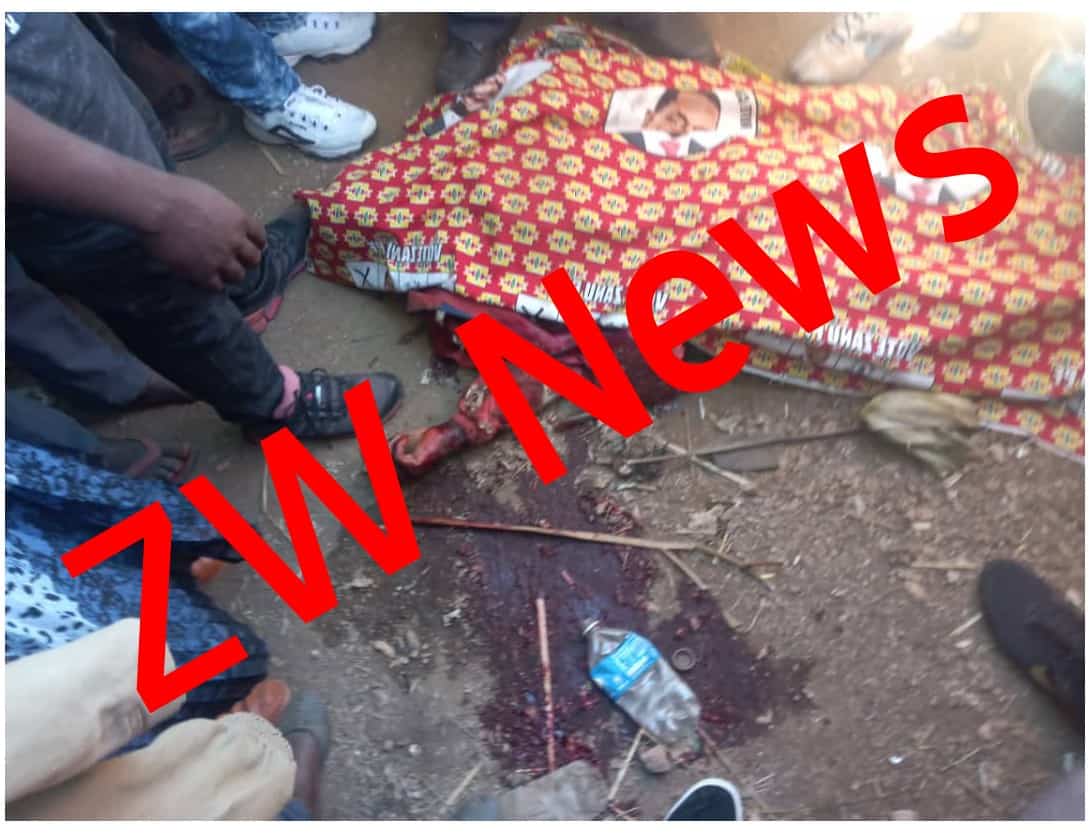 Mnangagwa supporter shot dead as police, Zanu PF gold miners fight in  Chegutu..PICTURE