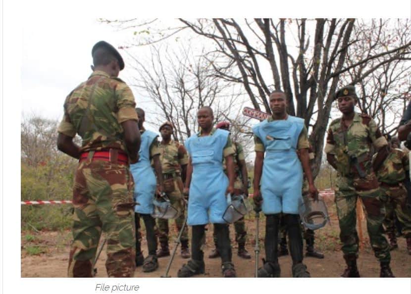 ZDF lowers entry requirements BUT Chiredzi youths fail easy army recruitment test
