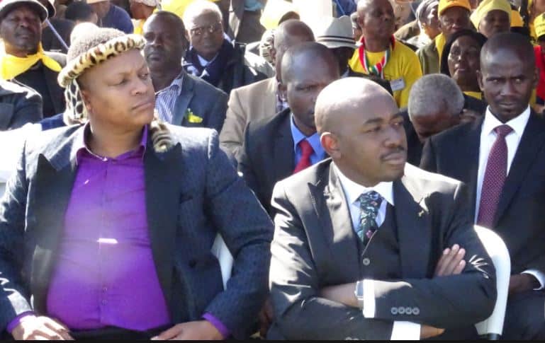 Zanu PF, Govt officials flee Dabengwa burial as Chamisa, Chief Ndiweni speak