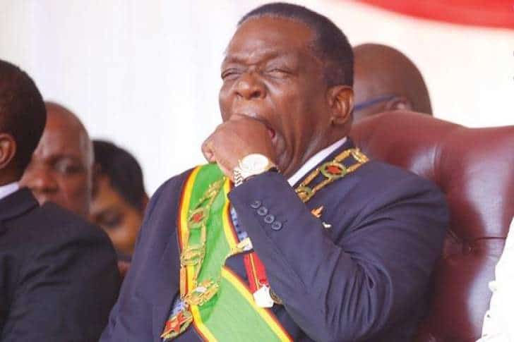 MDC Councillor Who Described Mnangagwa As a Fool Granted $500 Bail