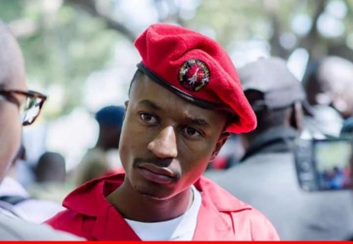 Breaking: MDC Youth Leader Arrested For Calling Mnangagwa A Dictator