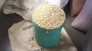 Maize Now At ZW$2 100 Per Tonne
