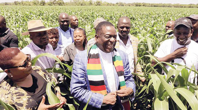 Zanu PF allies celebrate Unity Day at Mnangagwa’s farm