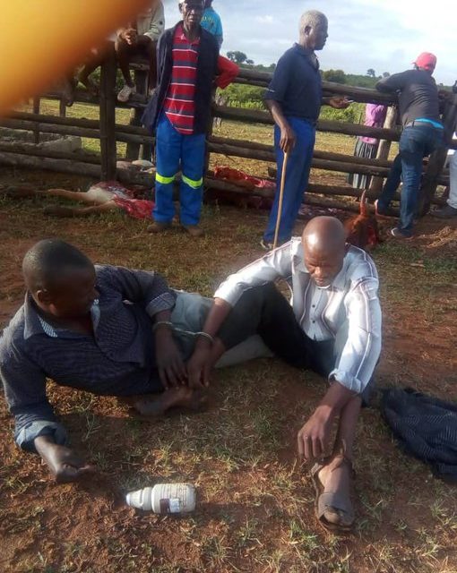 PICTURES: Soldiers nabbed for stealing and slaughtering villagers’ cows