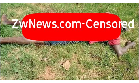 BREAKING: Brutal Mashurugwi terrorists kill gold buyer with machetes