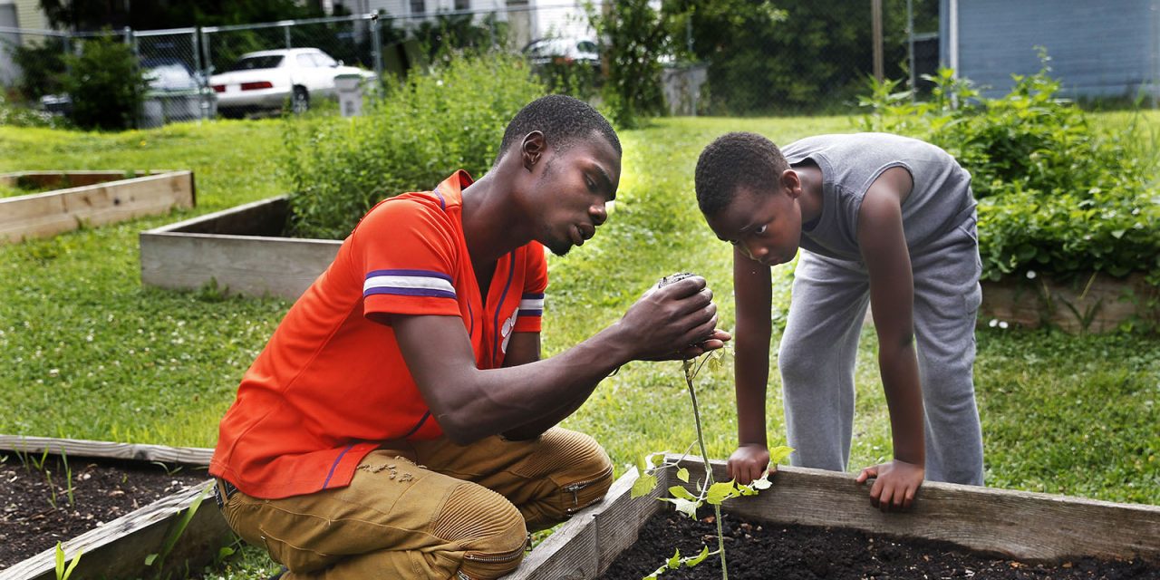 Zimbabwean Garden ‘boys’ to get $6 per month