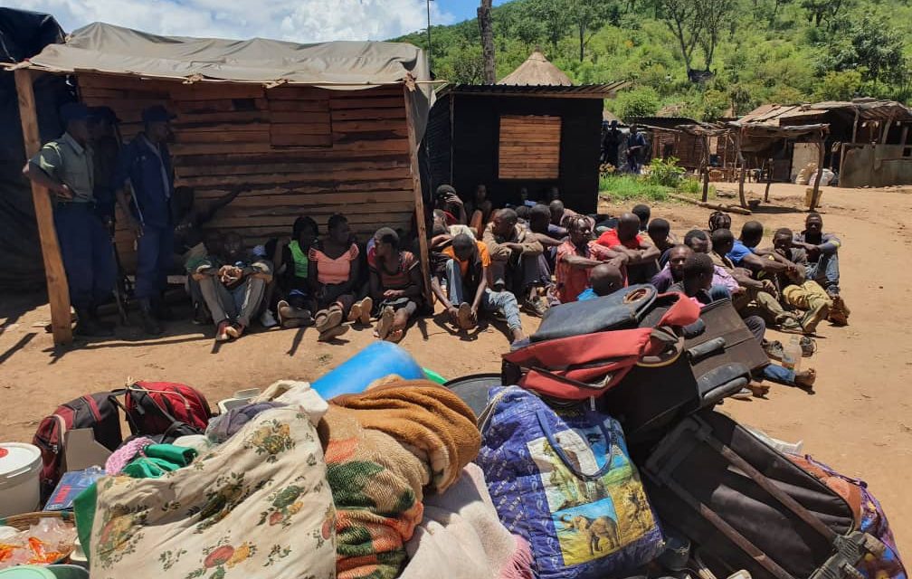 Mashurugwi Latest: Hundreds of illegal gold miners rounded up in Manicaland