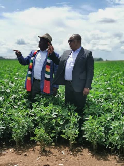 Repossession of idle farms starts today: Zim Govt reverses Mugabe land policy